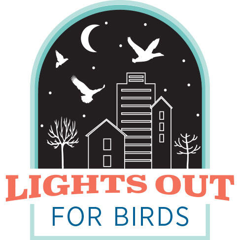 Lights Out For Birds logo